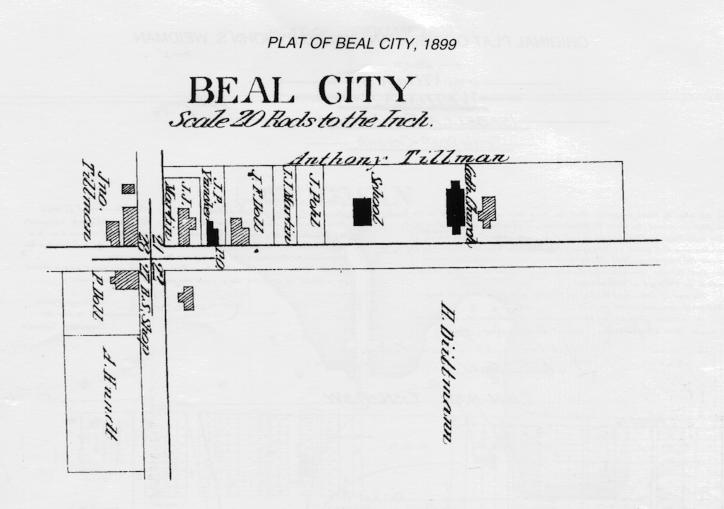 Beal City Plat Map