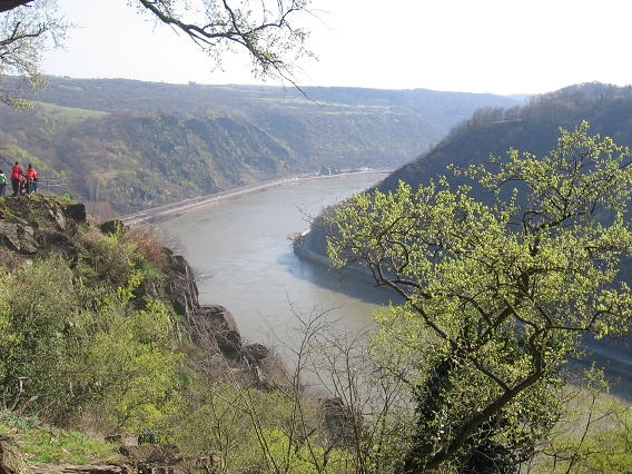 Rhine River from Loreley